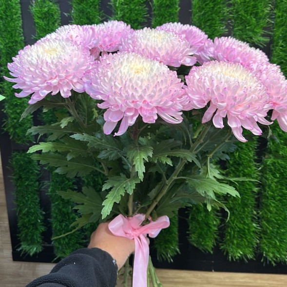 Лунный блик в Симферополе