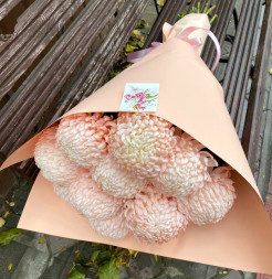 Снежная корона