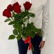 5 красных роз в Симферополе